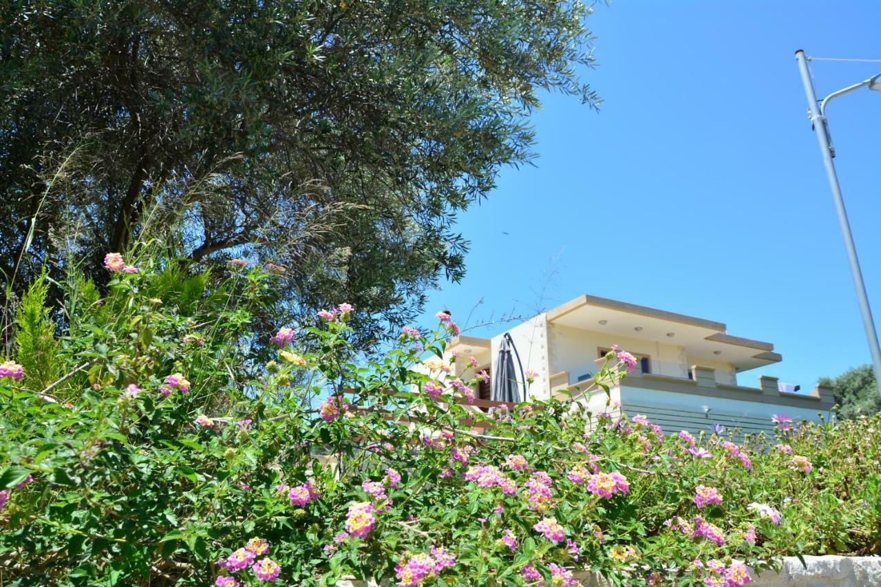 Villa Ikaros Kalamítsion Amigdhálion Екстериор снимка